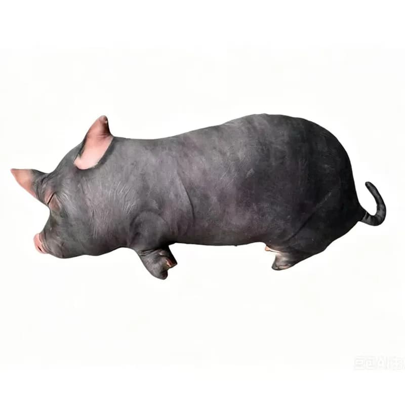 Pig Plush