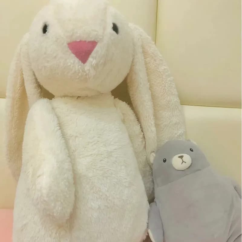 jelly cat bunny rabbit